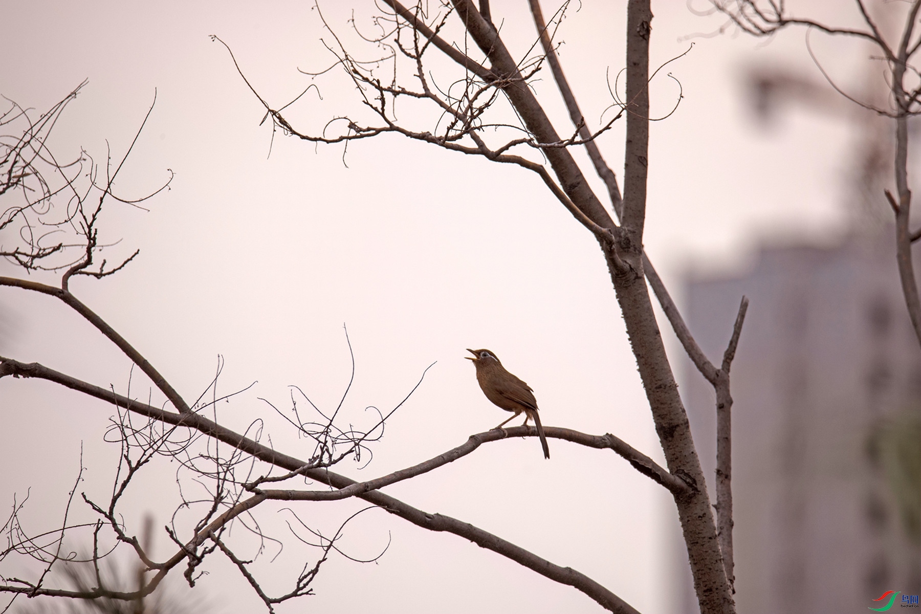 ˼��֮�� (6).jpg