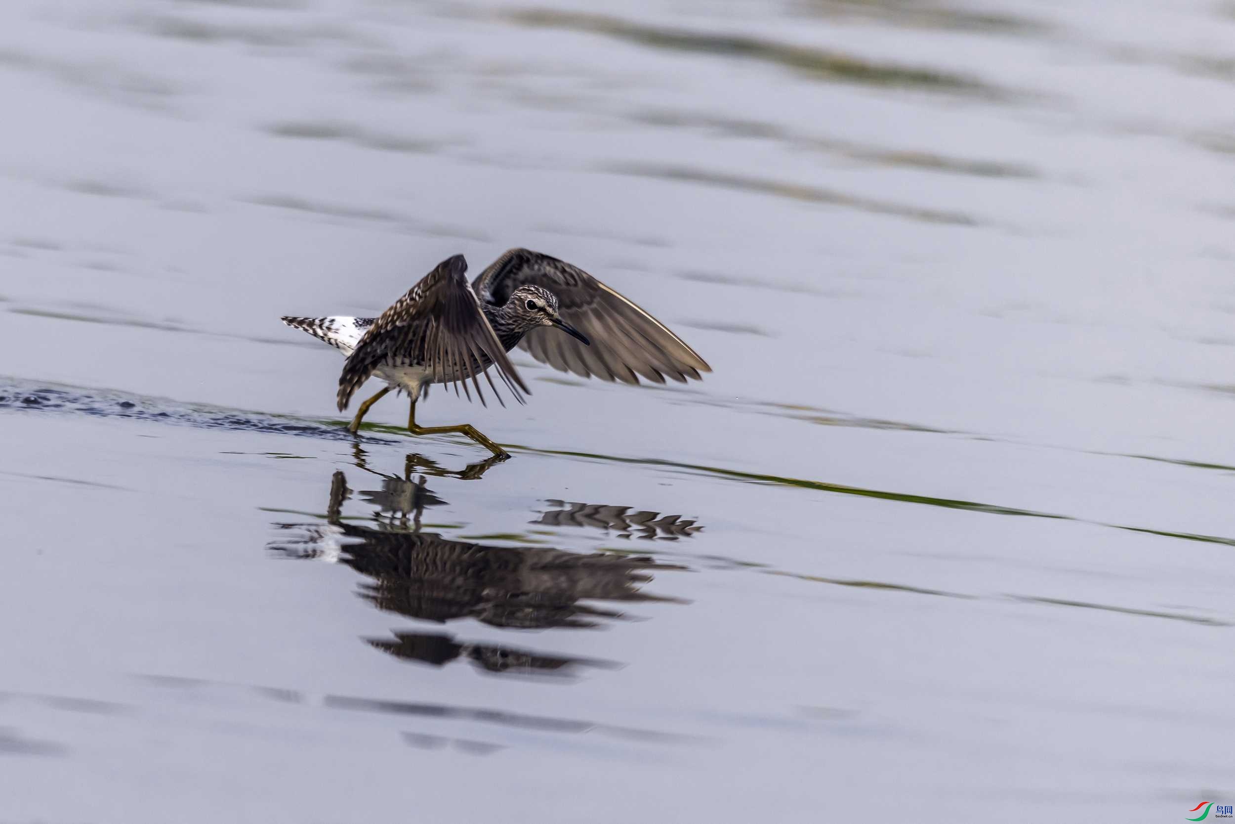 _78A0013 ����.jpg