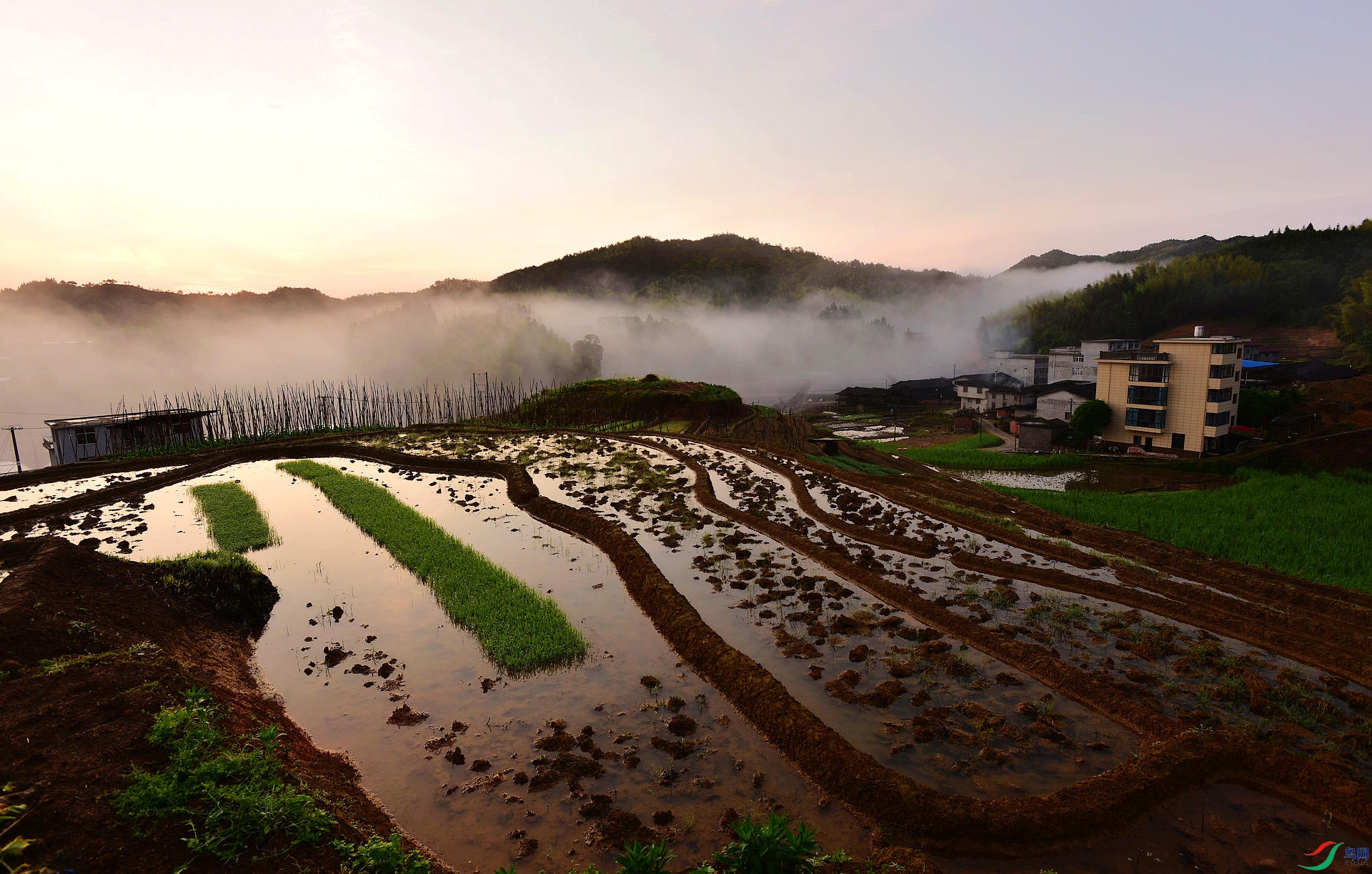 清晨乡村景色