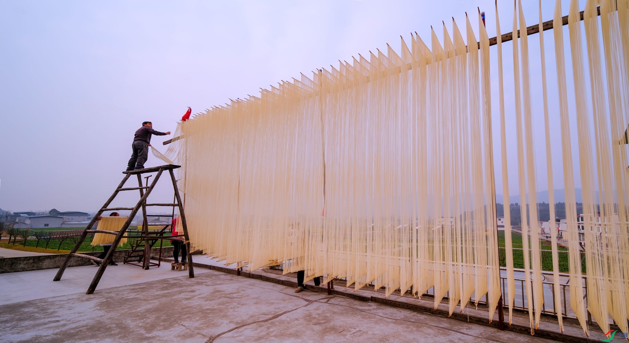 �й������