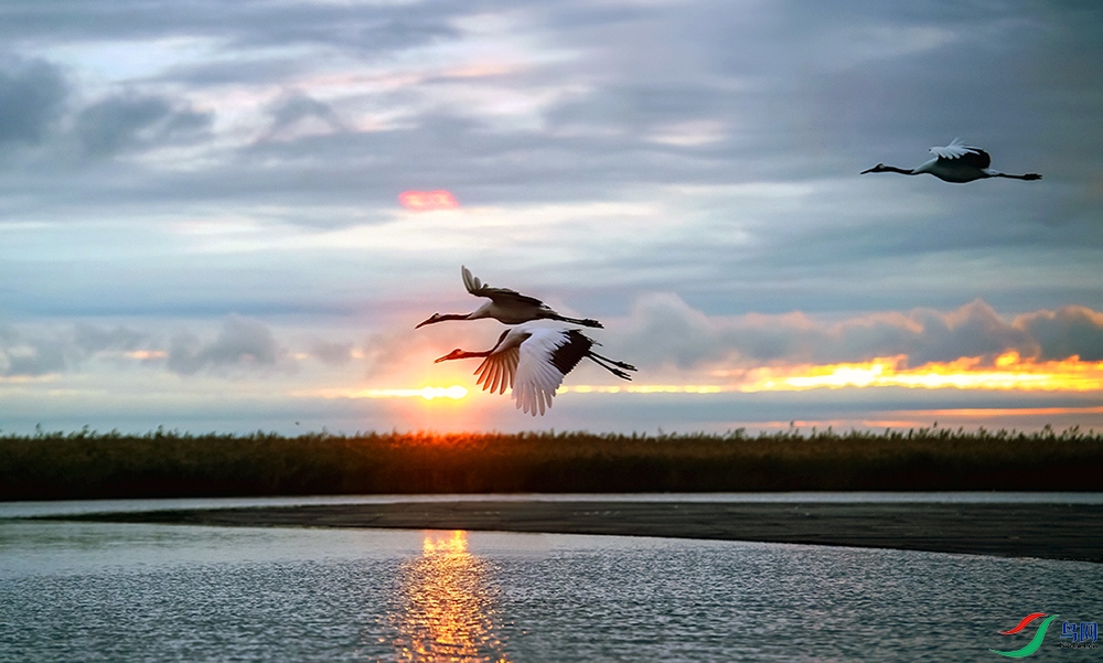 _DSC0786==1x.jpg