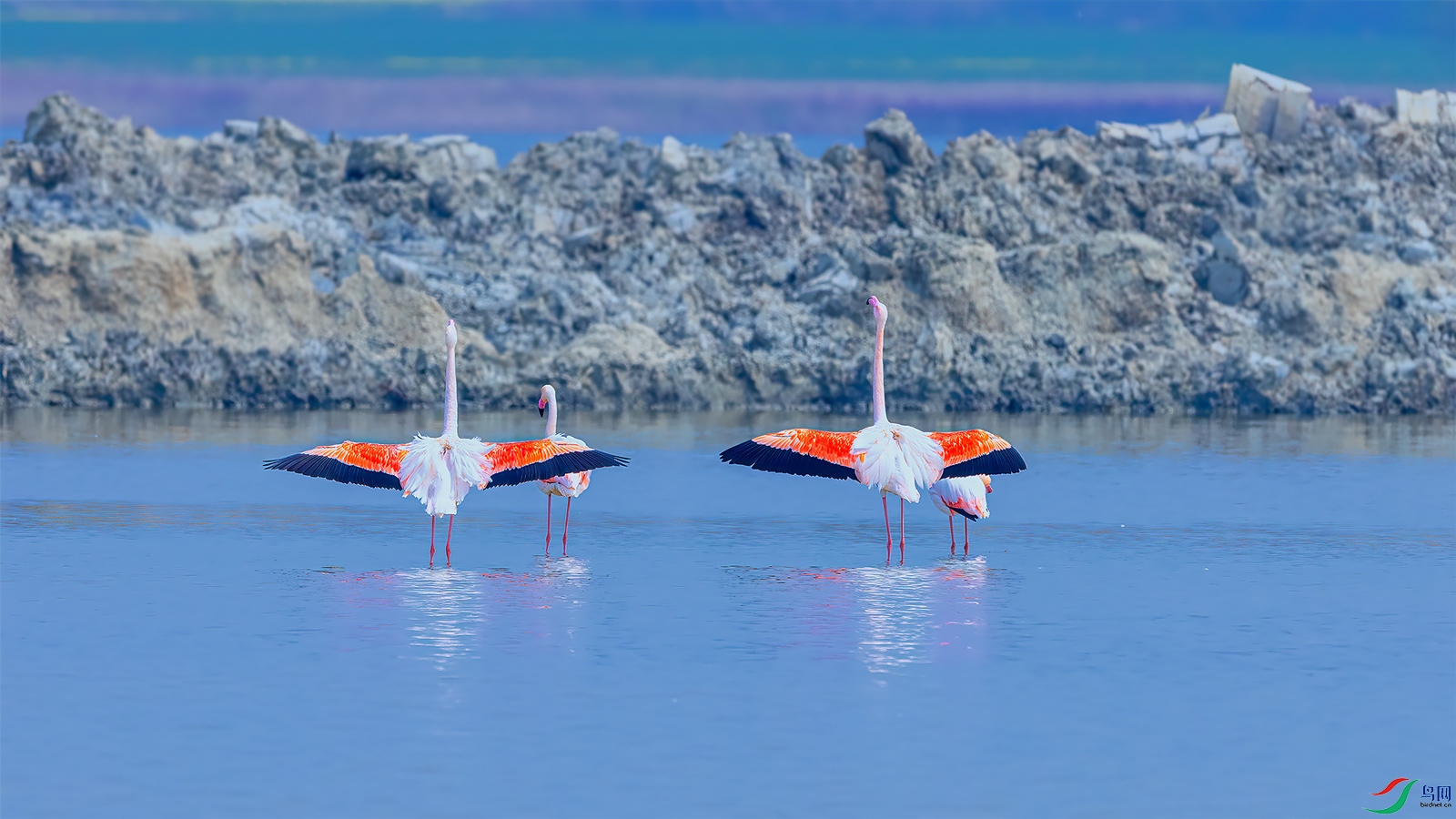 _R5_3529-1.jpg