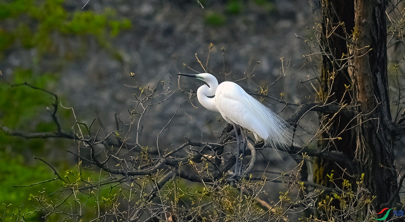 _DSC1476==1x.jpg