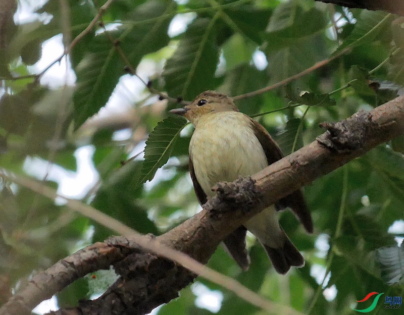 P6670480 - ����.JPG