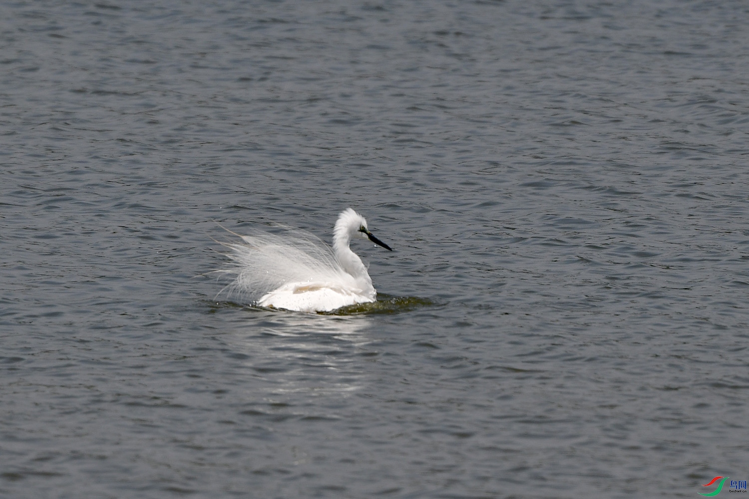 DSC_7551.jpg