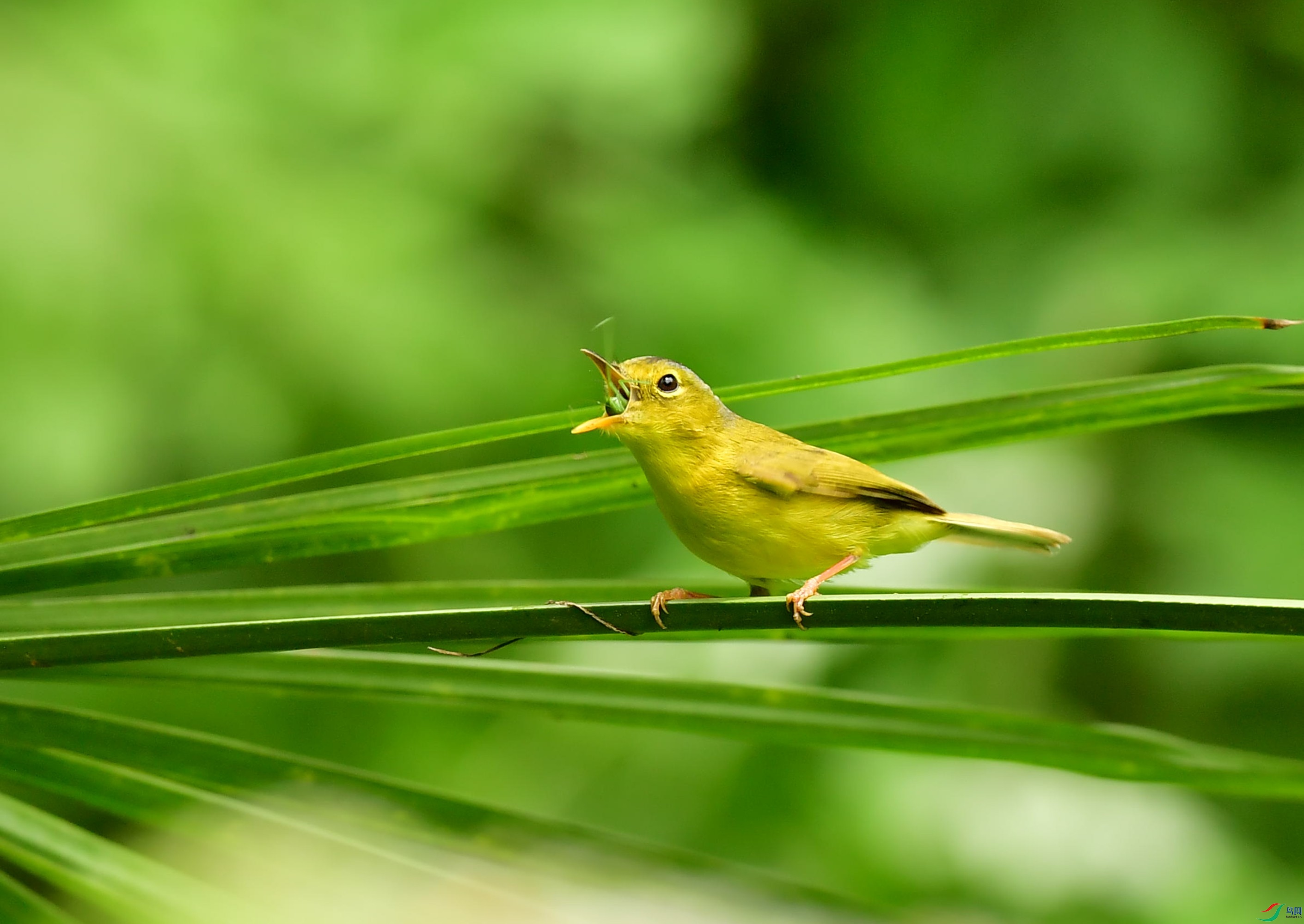 �ҹ��lݺDSC_3467_����.jpg