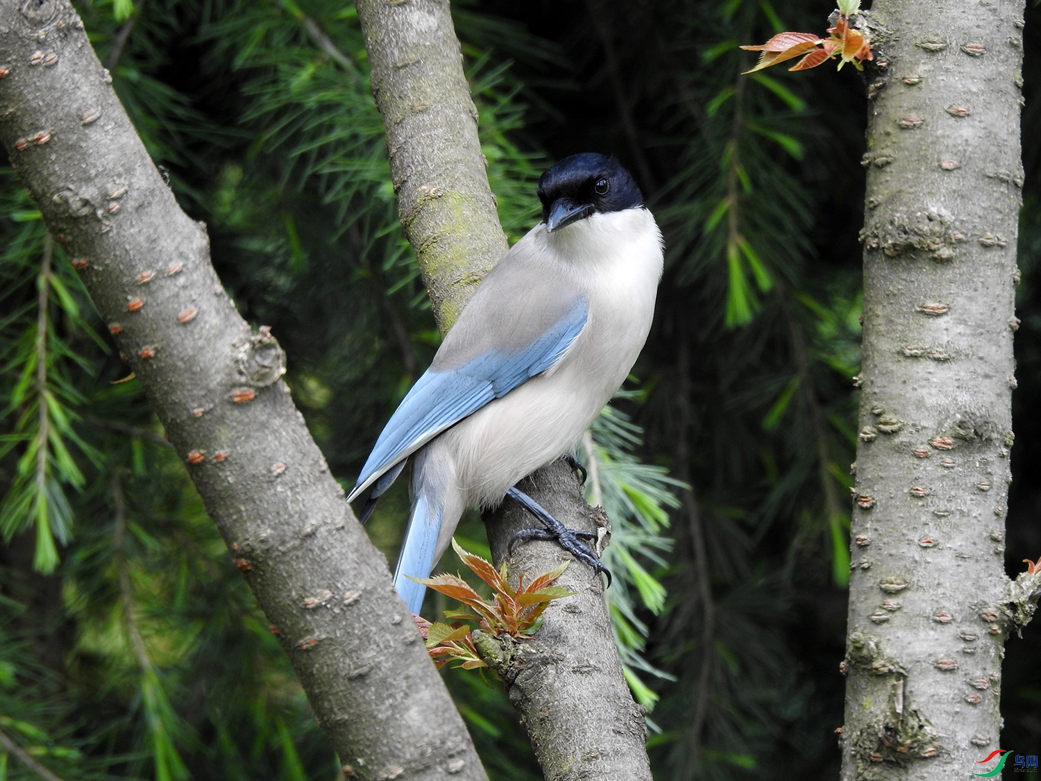 DSCN6539.jpg