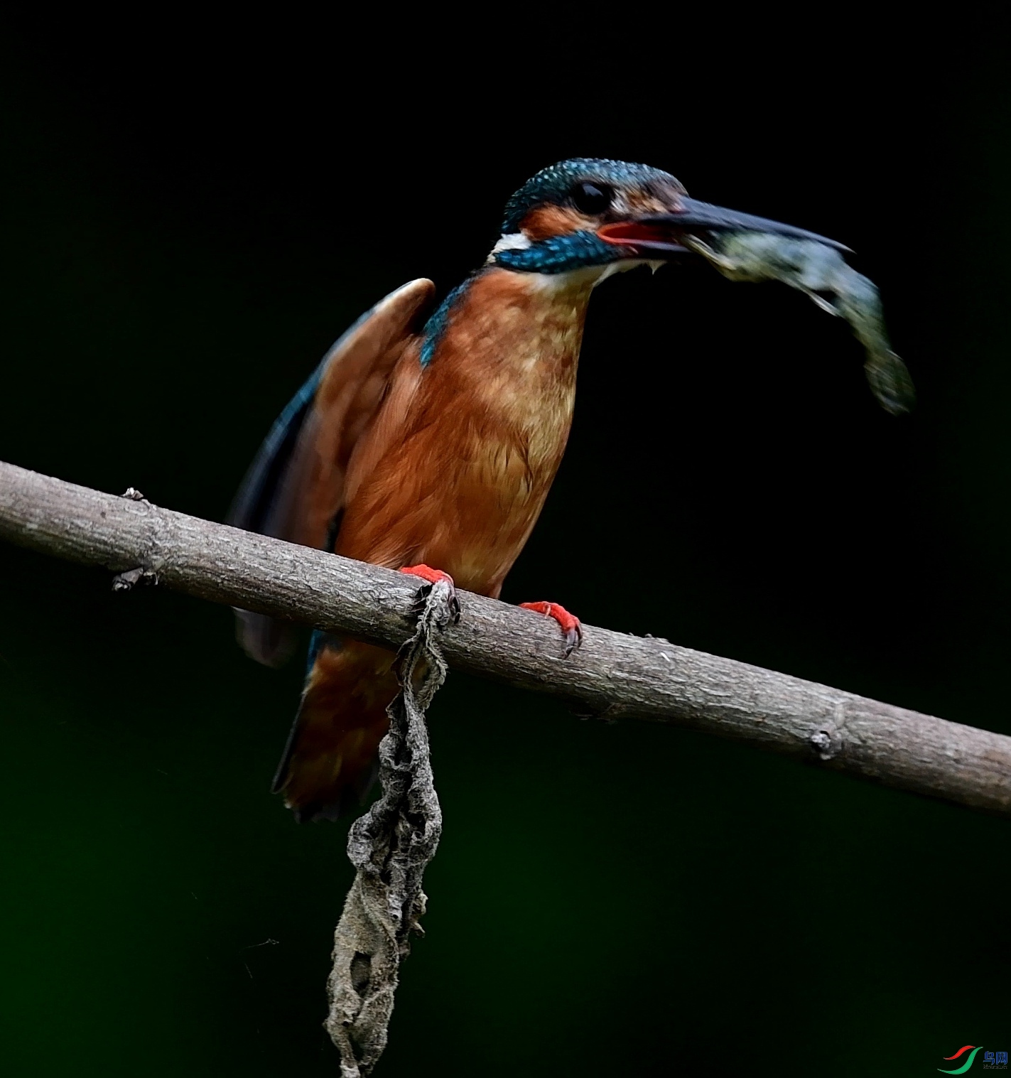 DSC_6591[(000013)2021-05-12-20-45-38].JPG