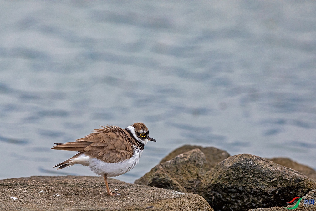 С������