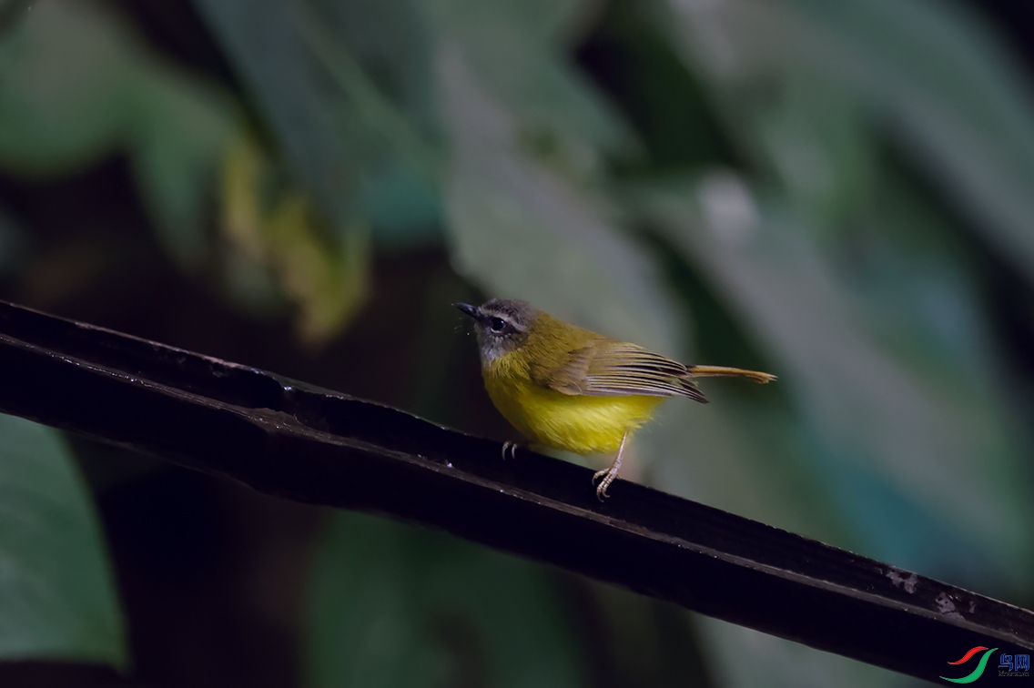 3DSC_7698_DxOa.jpg