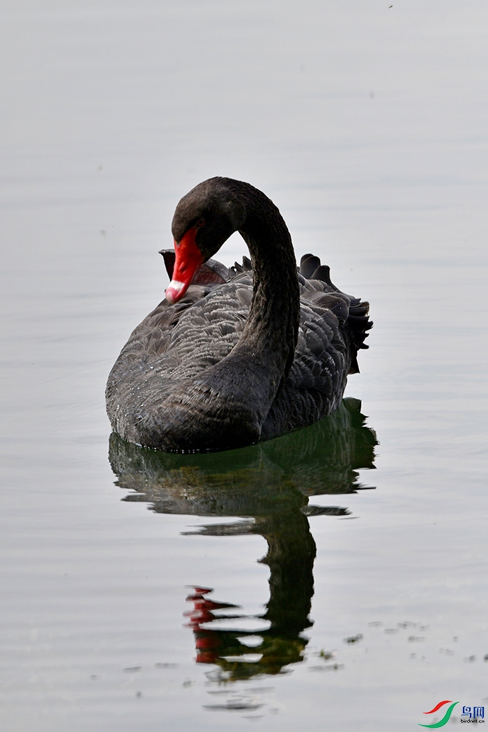 DSC_9555.jpg