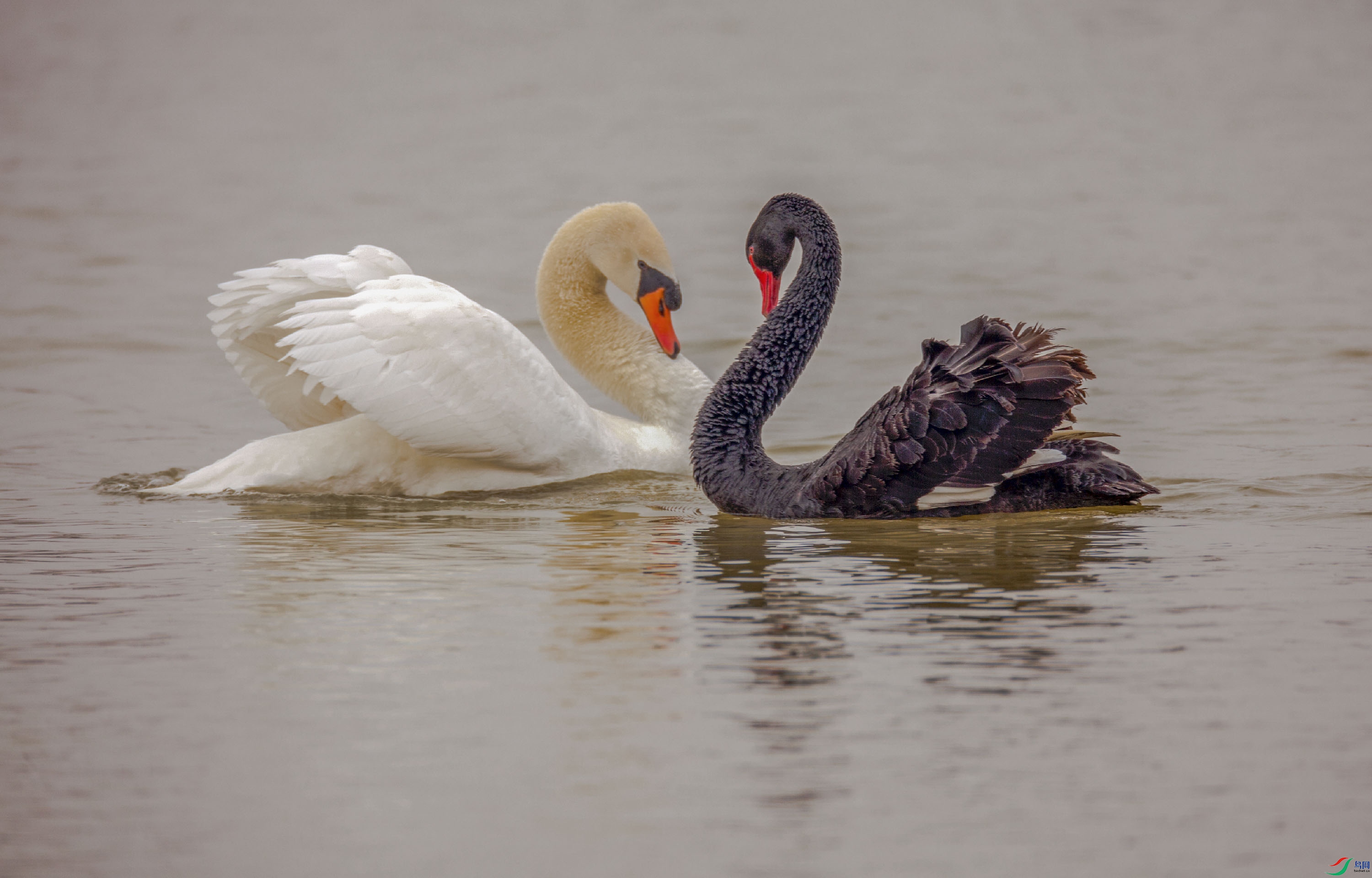 ����˽��