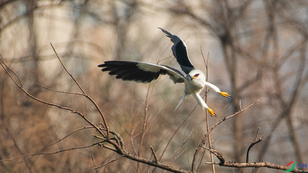 DSC_3479.jpg