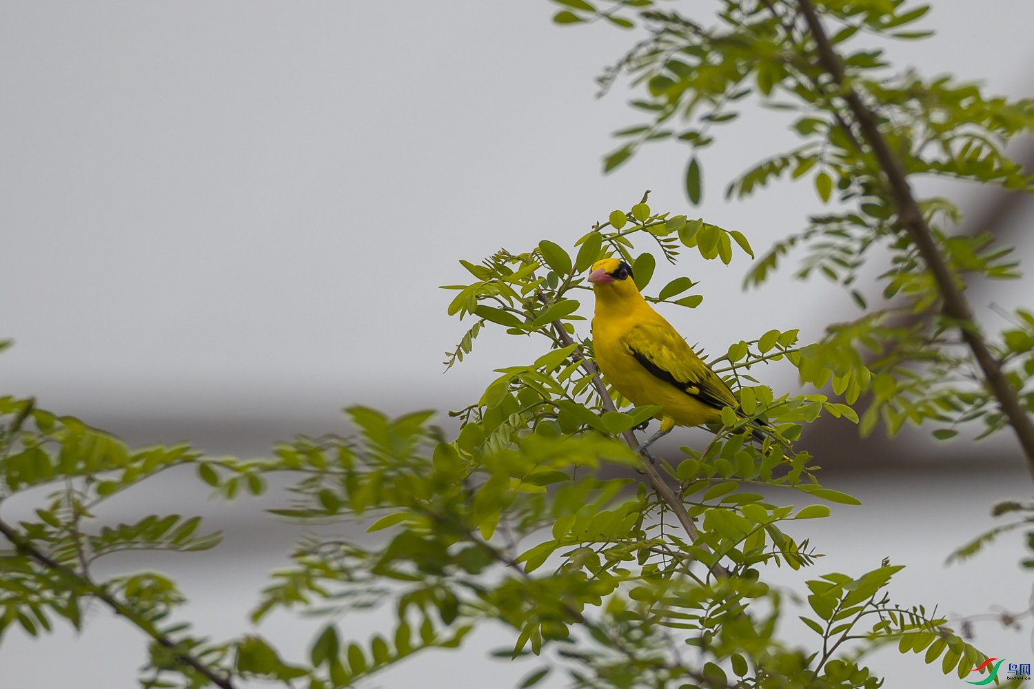 _90I5709.jpg