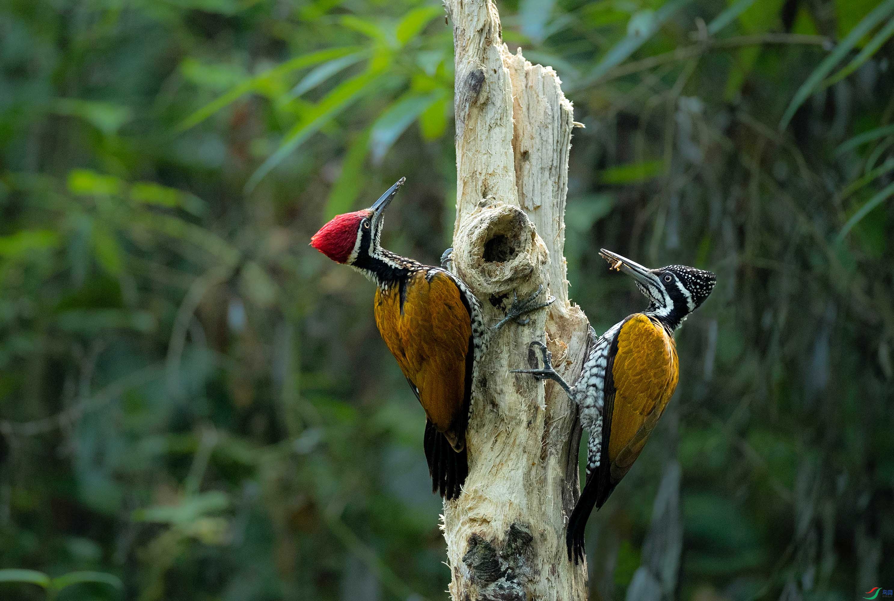 AD1I9294.jpg0 (2).jpg