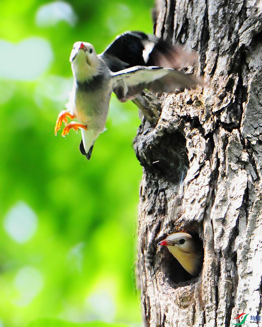 ��Ƭ 3978_����.jpg