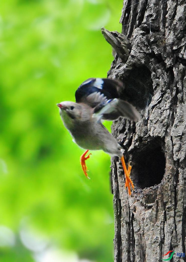 ��Ƭ 3894_����.jpg