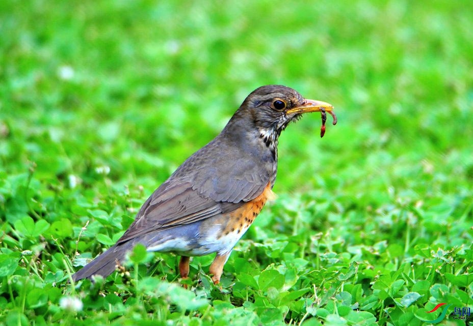 ��Ƭ 4225_����.jpg