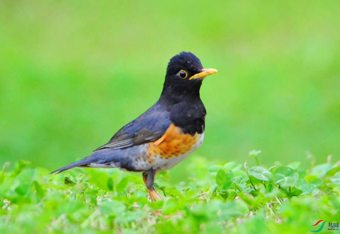 ��Ƭ 4218_����.jpg