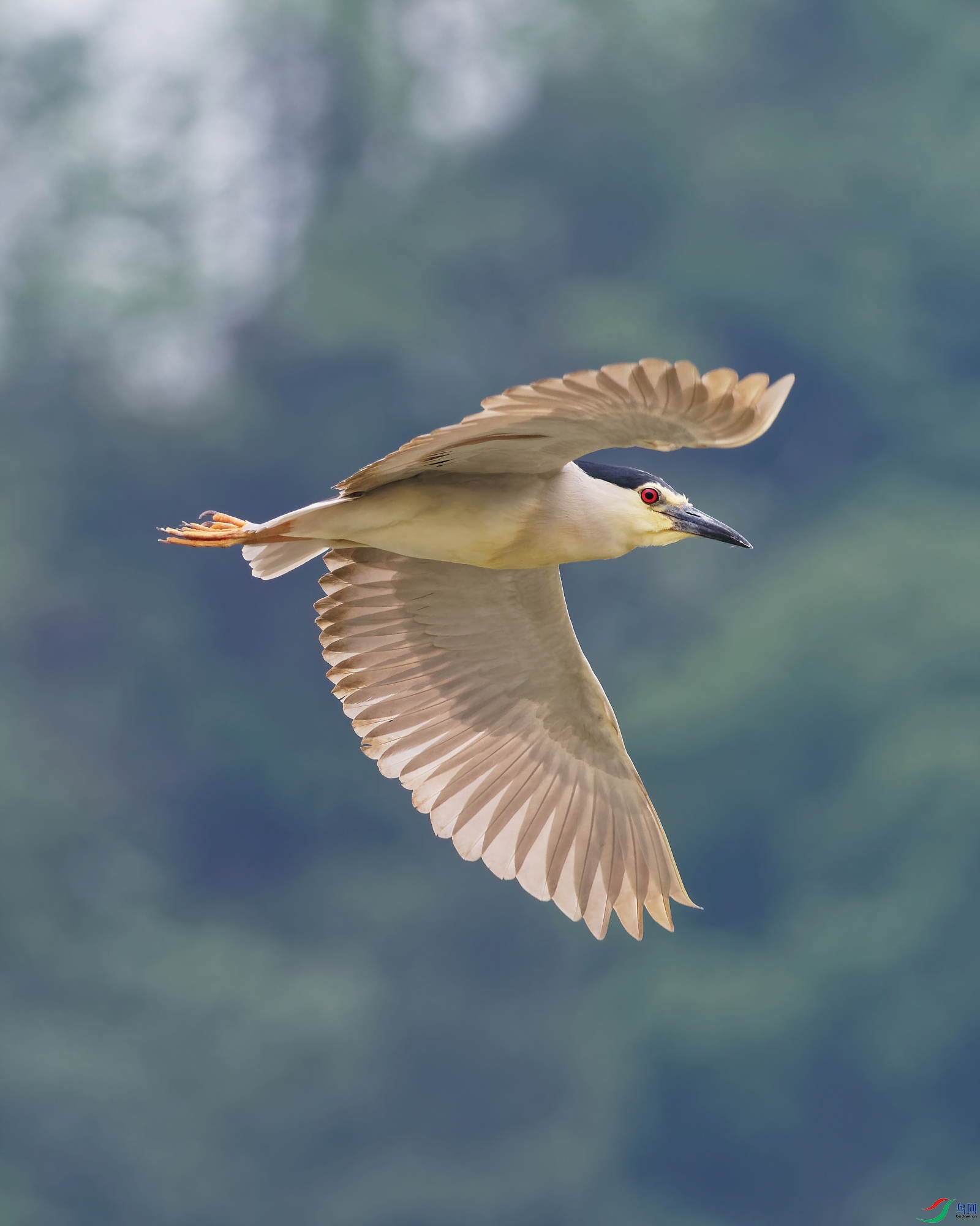 P5130166_DxO-d2.jpg