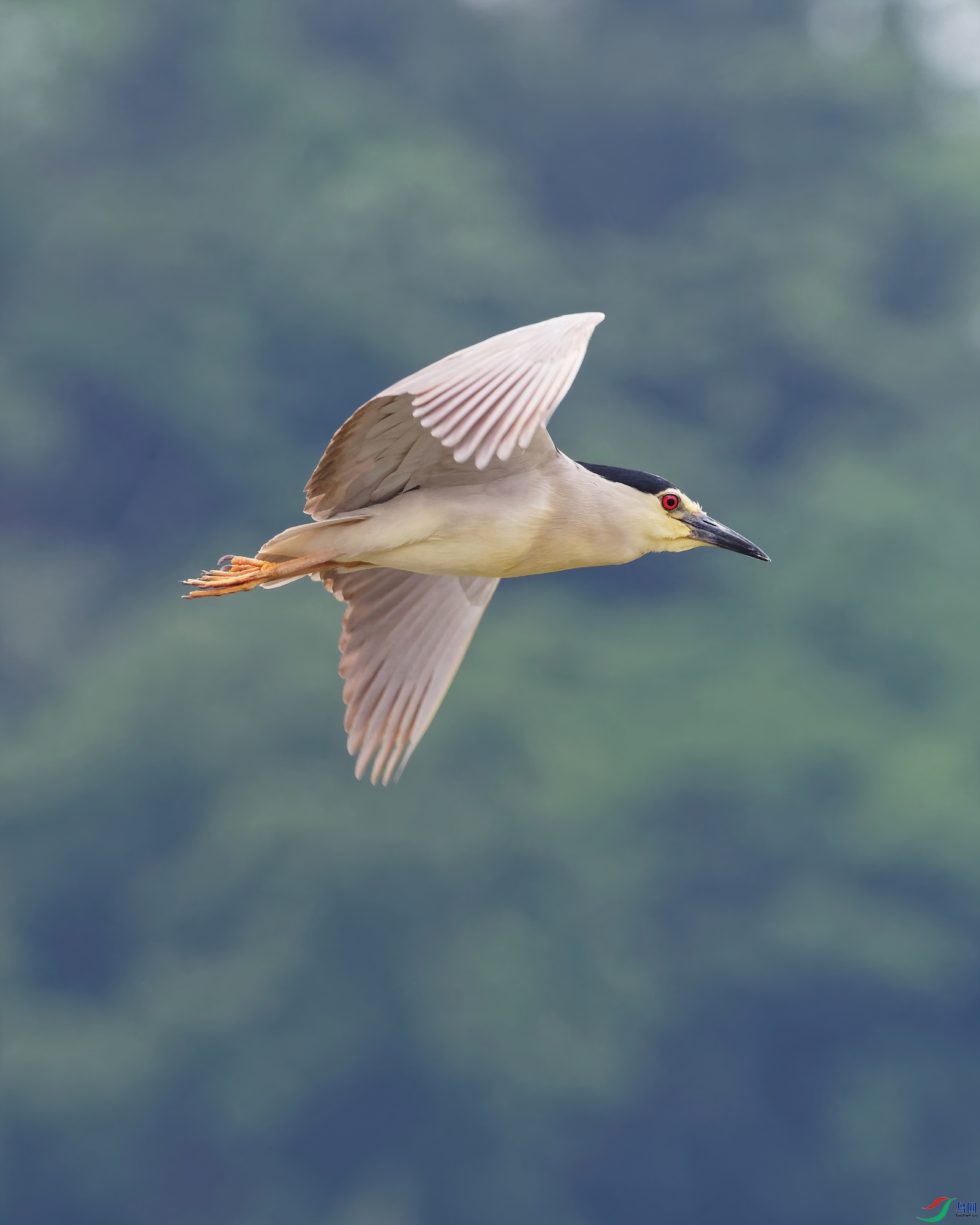 P5130167_DxO-d2.jpg