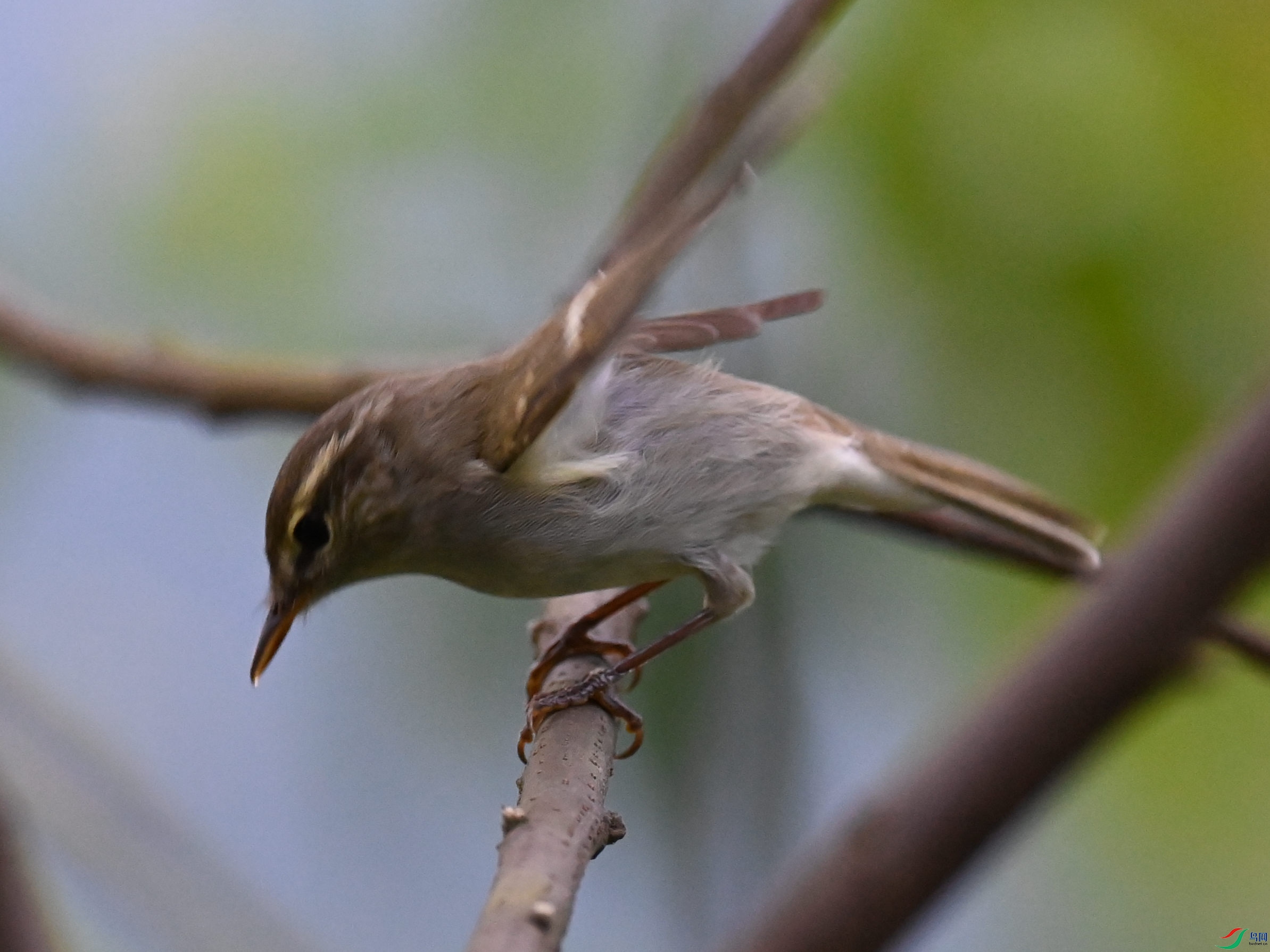 DSC_3351.JPG