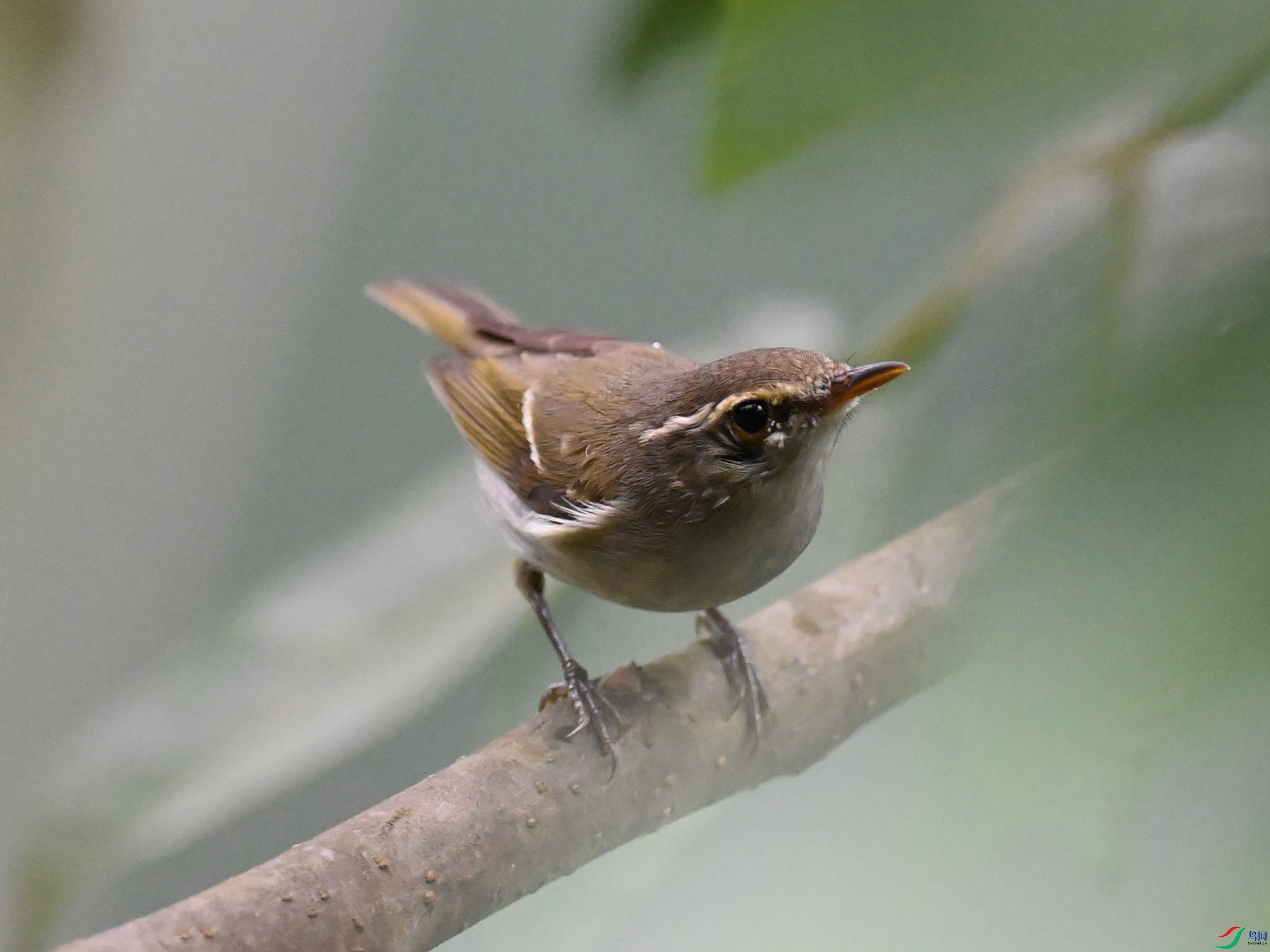DSC_3355.JPG