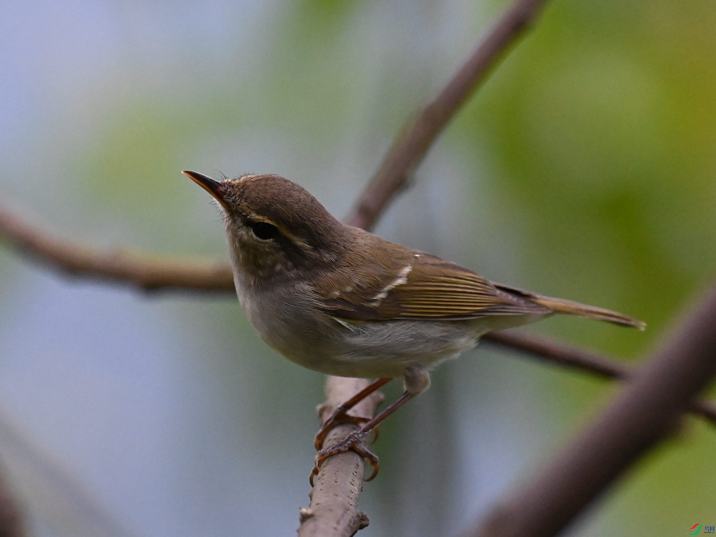 DSC_3334.JPG