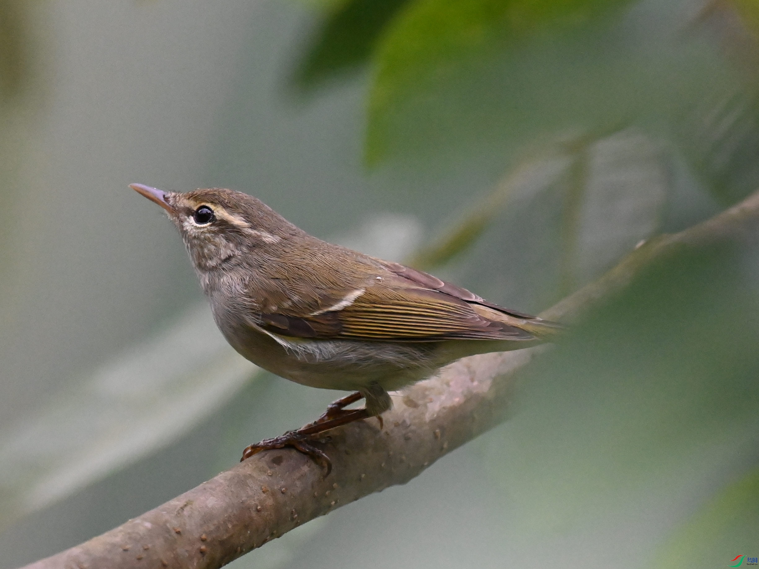 DSC_3378.JPG