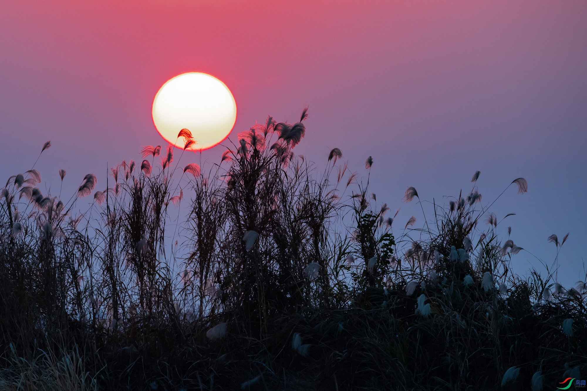 夕阳无限好