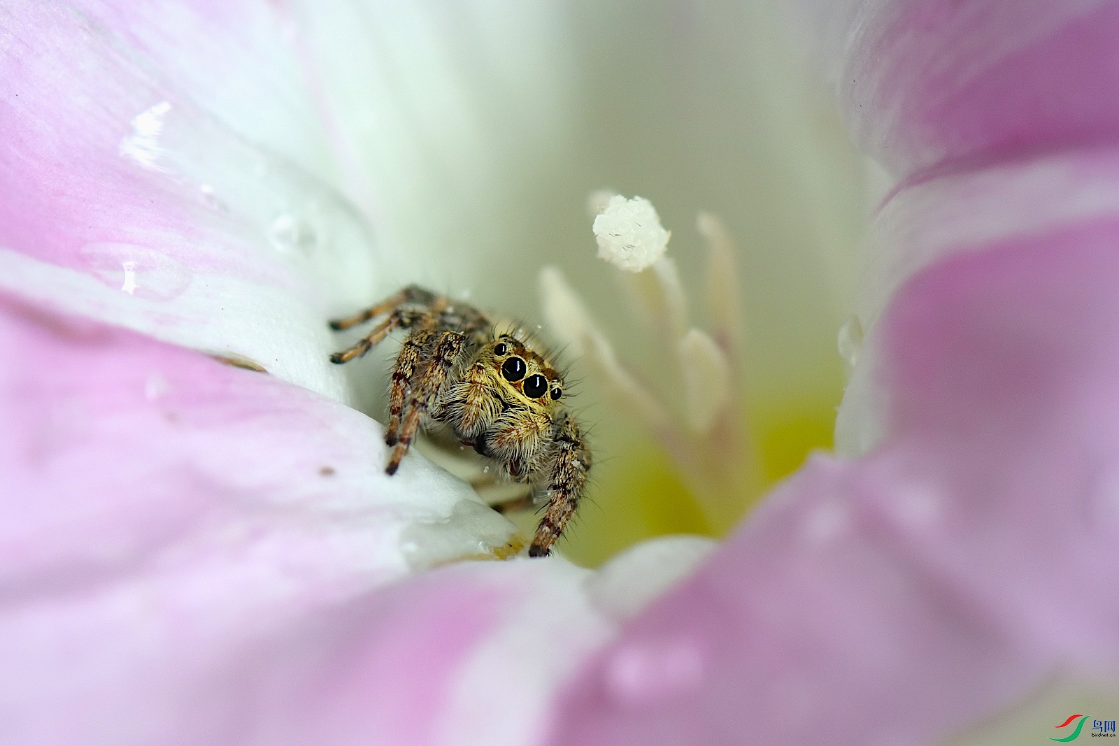 DSC_1856_00009.jpg