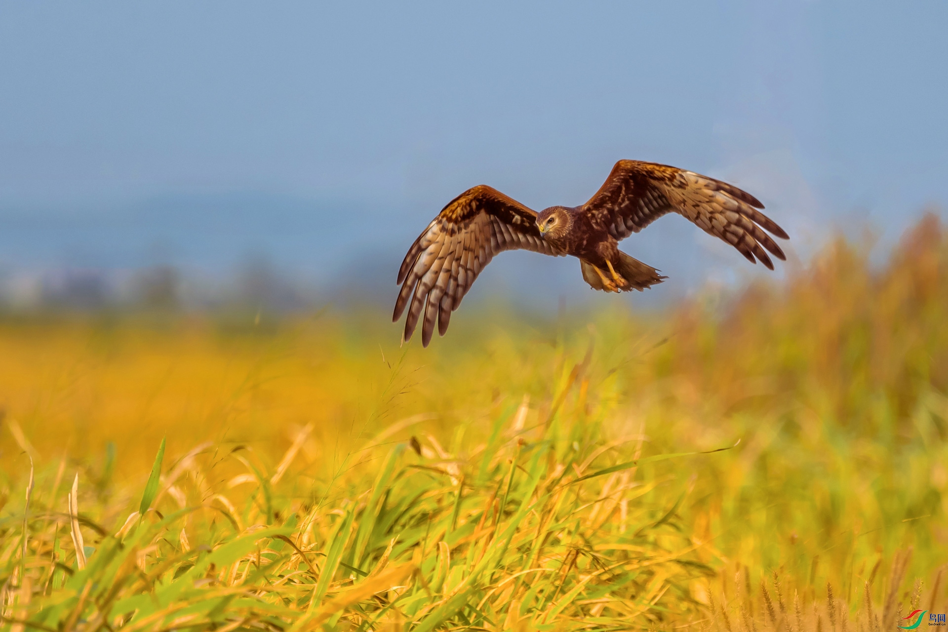 _DSC8314-1axxx.jpg