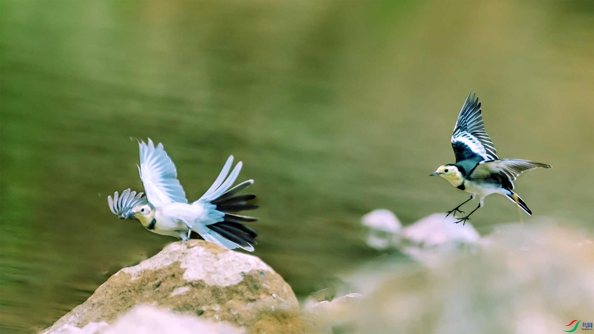 ���ֵİ��n�_