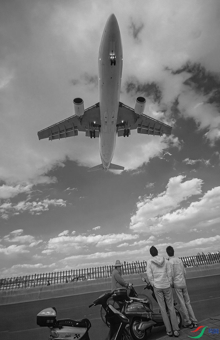 观铁鸟红外影像