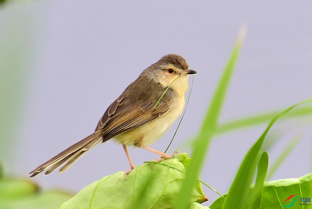 �Ƹ���ݺ (4).JPG