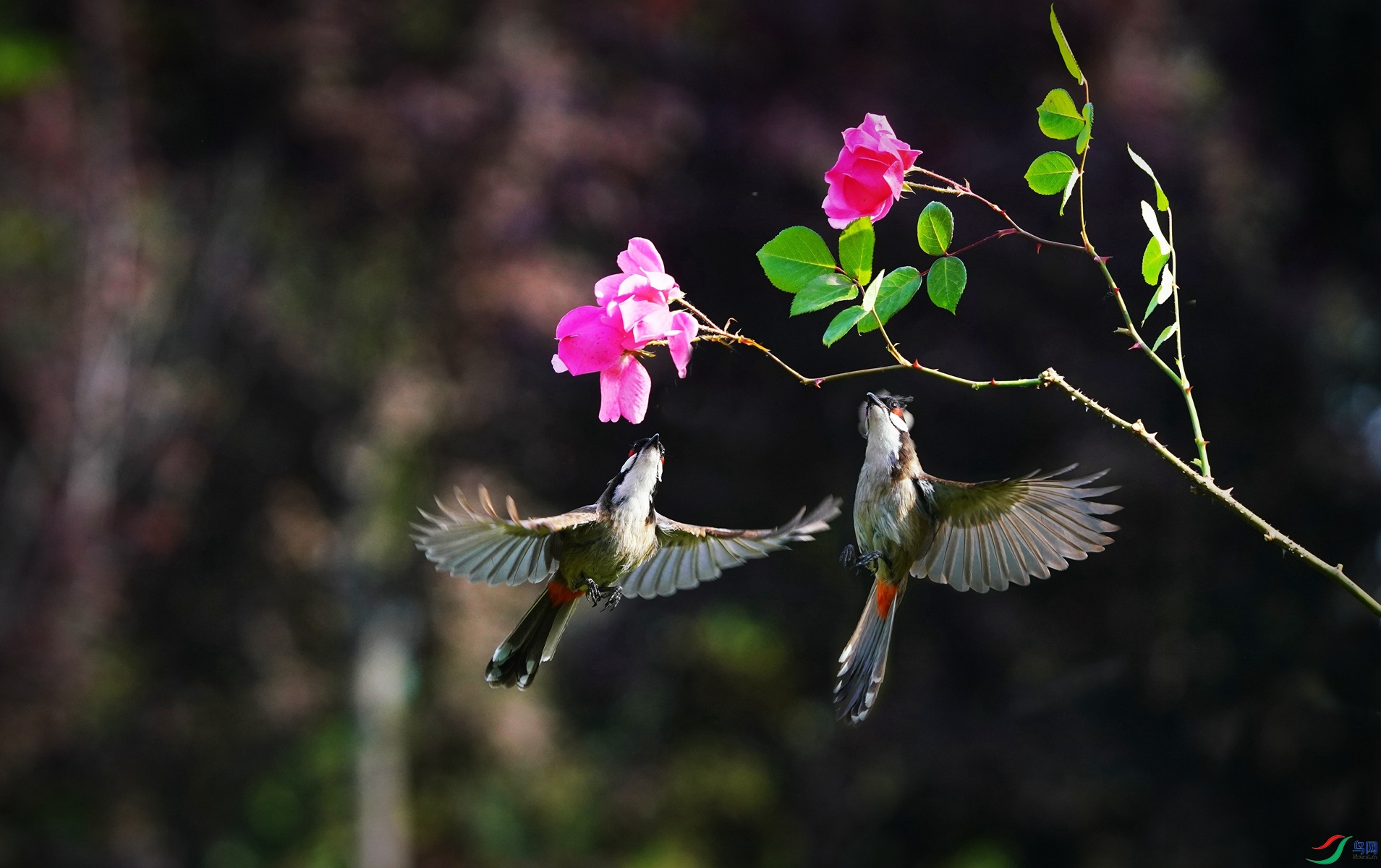 2 DSC06879_����.jpg