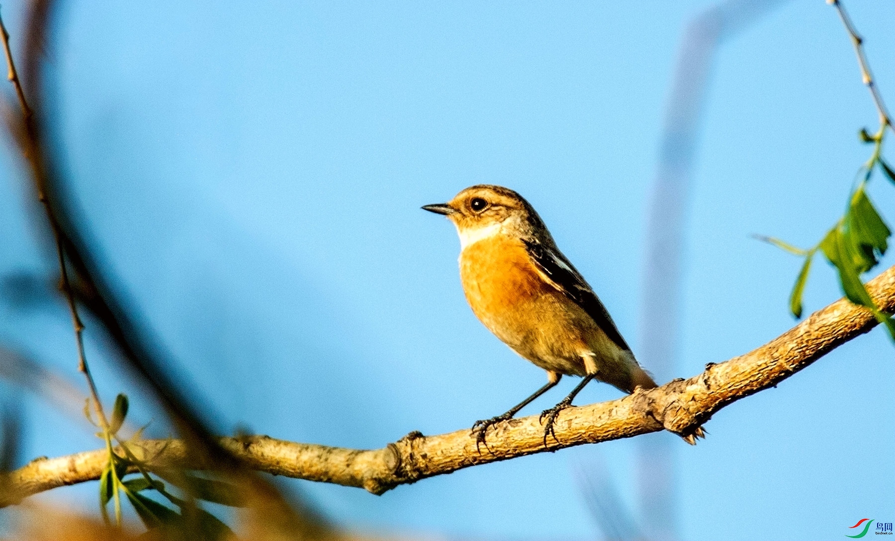 ר�ұ��� (3).jpg