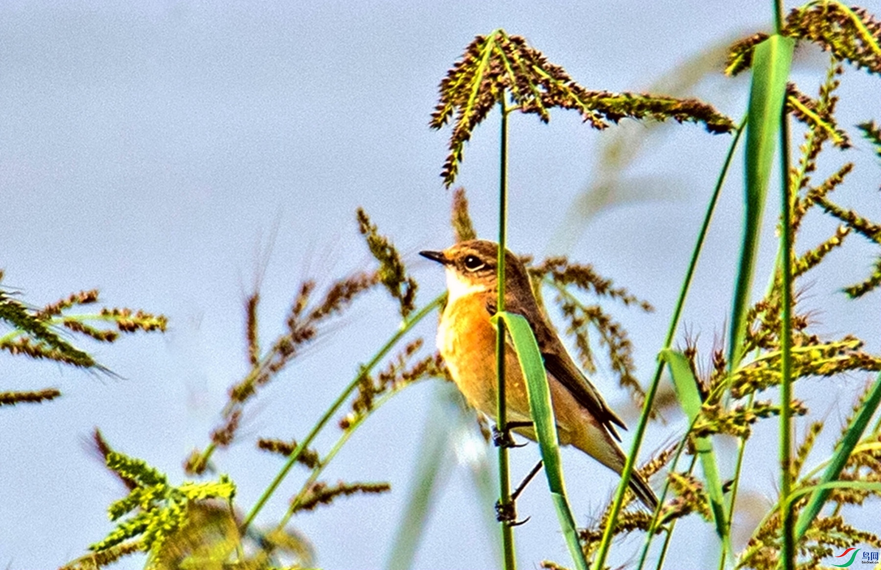 ר�ұ��� (1).jpg