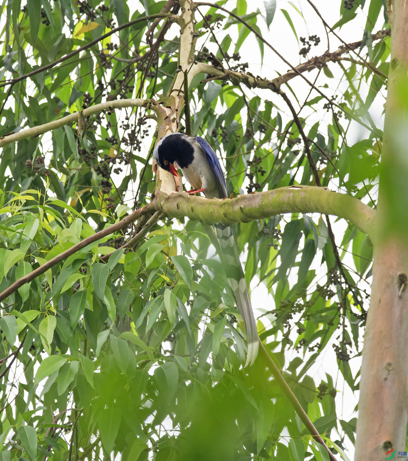 DSC_1617.jpg