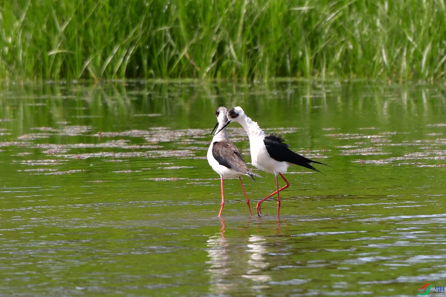 DSC_6430.jpg
