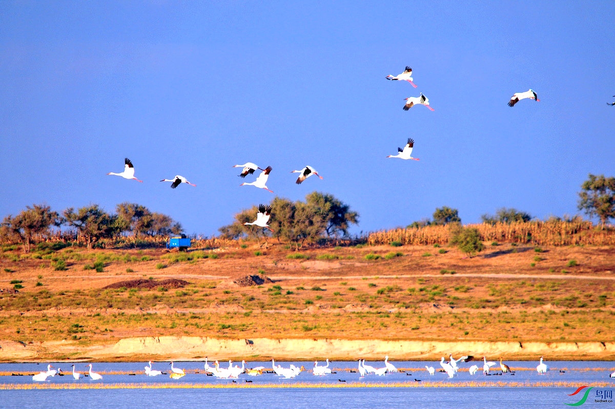 �׺�DSC_2626_����.jpg