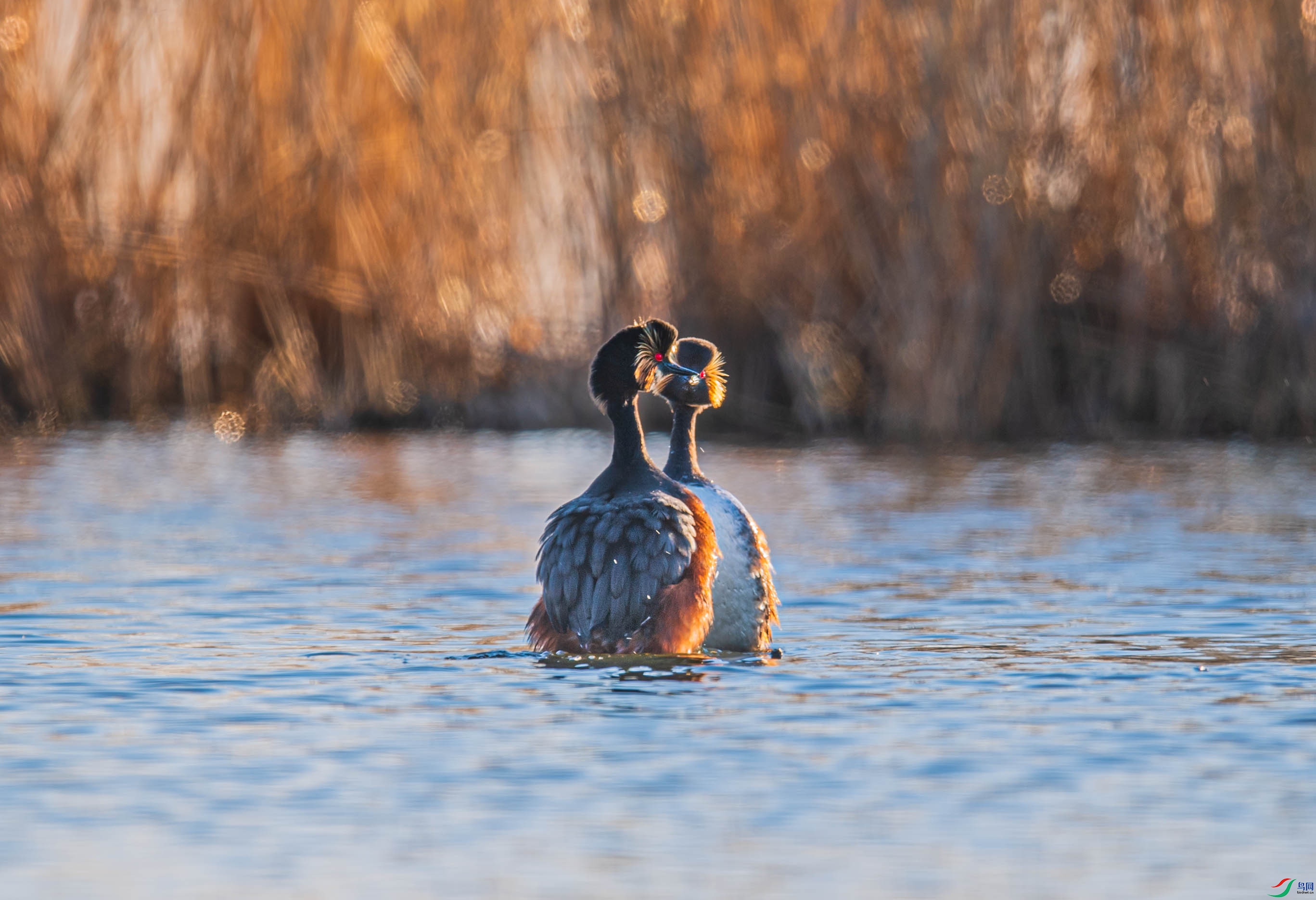 DSC_1343-1.jpg