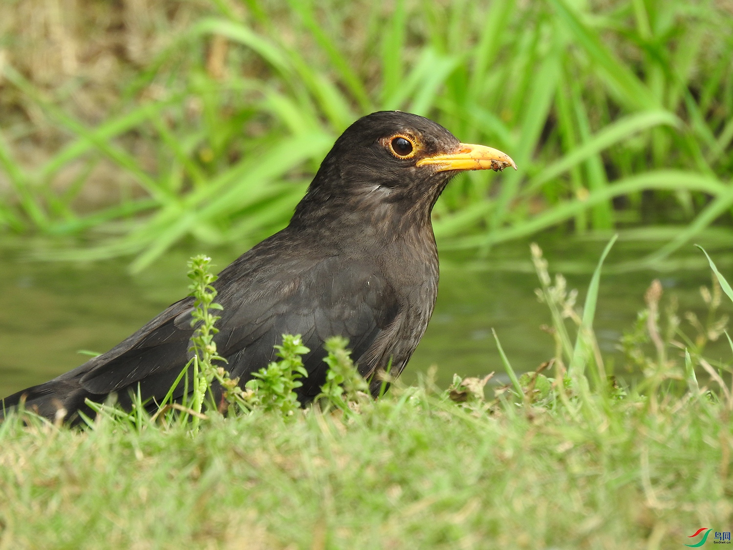 DSCN7365.jpg