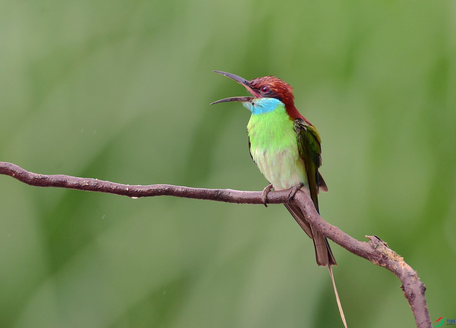 D8I_1206.jpg