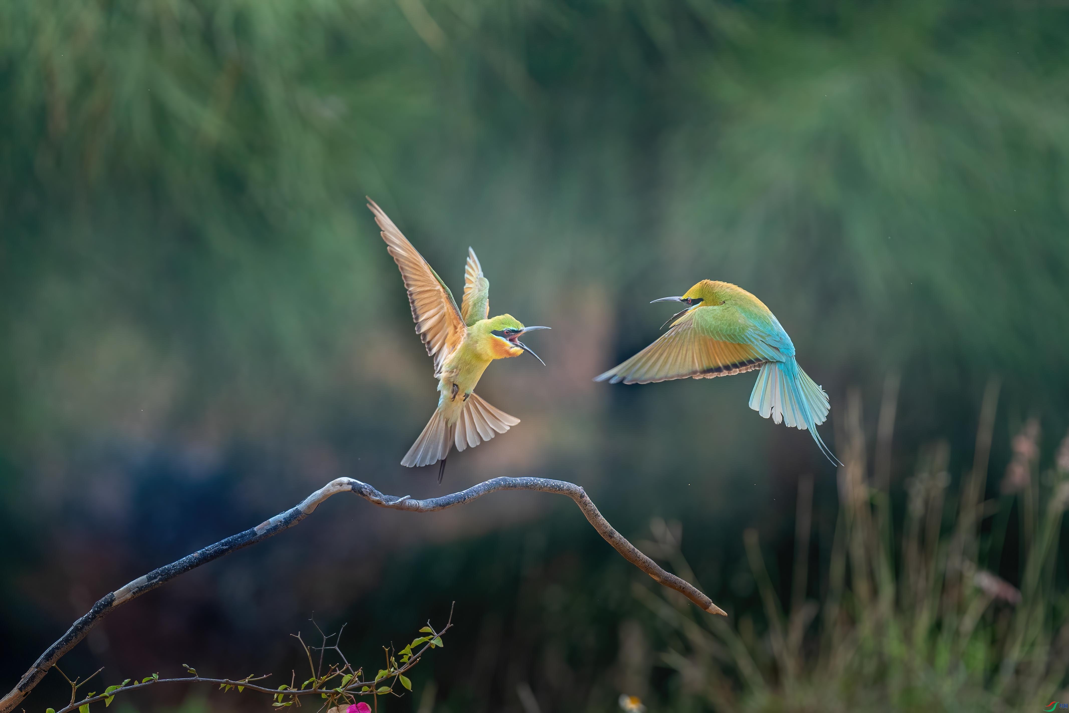 ����A9+FE600