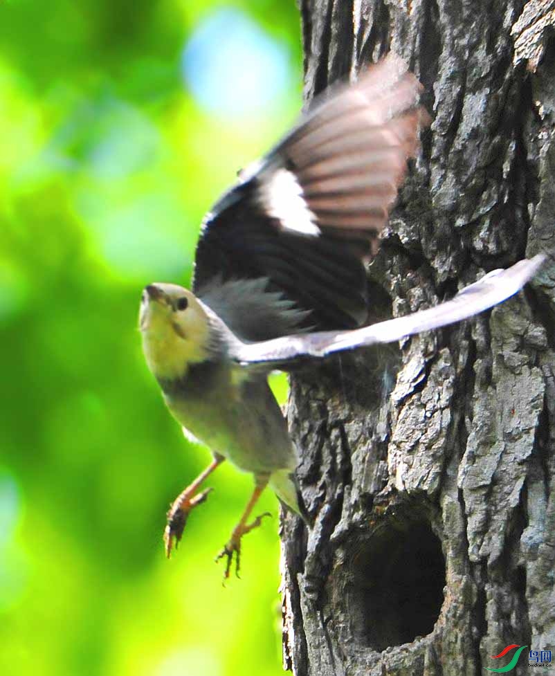 ��Ƭ 4411_����.jpg