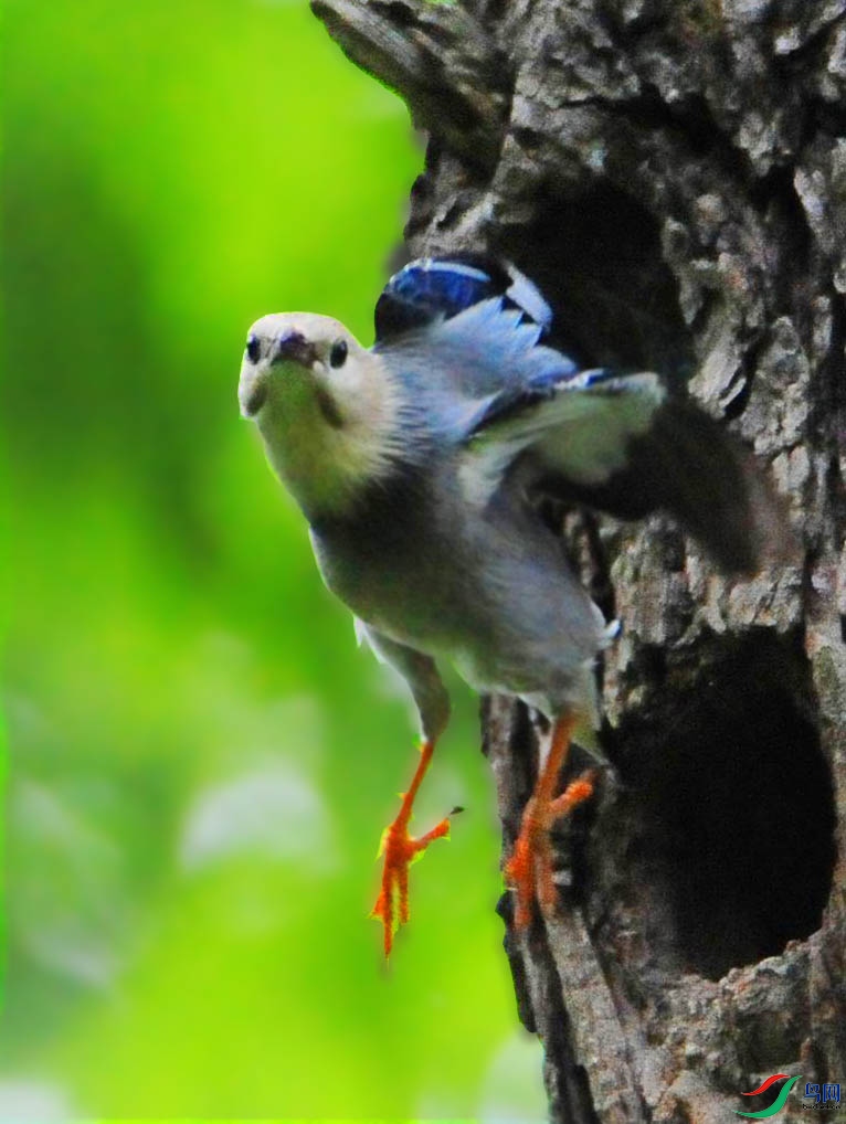 ��Ƭ 4322_����.jpg