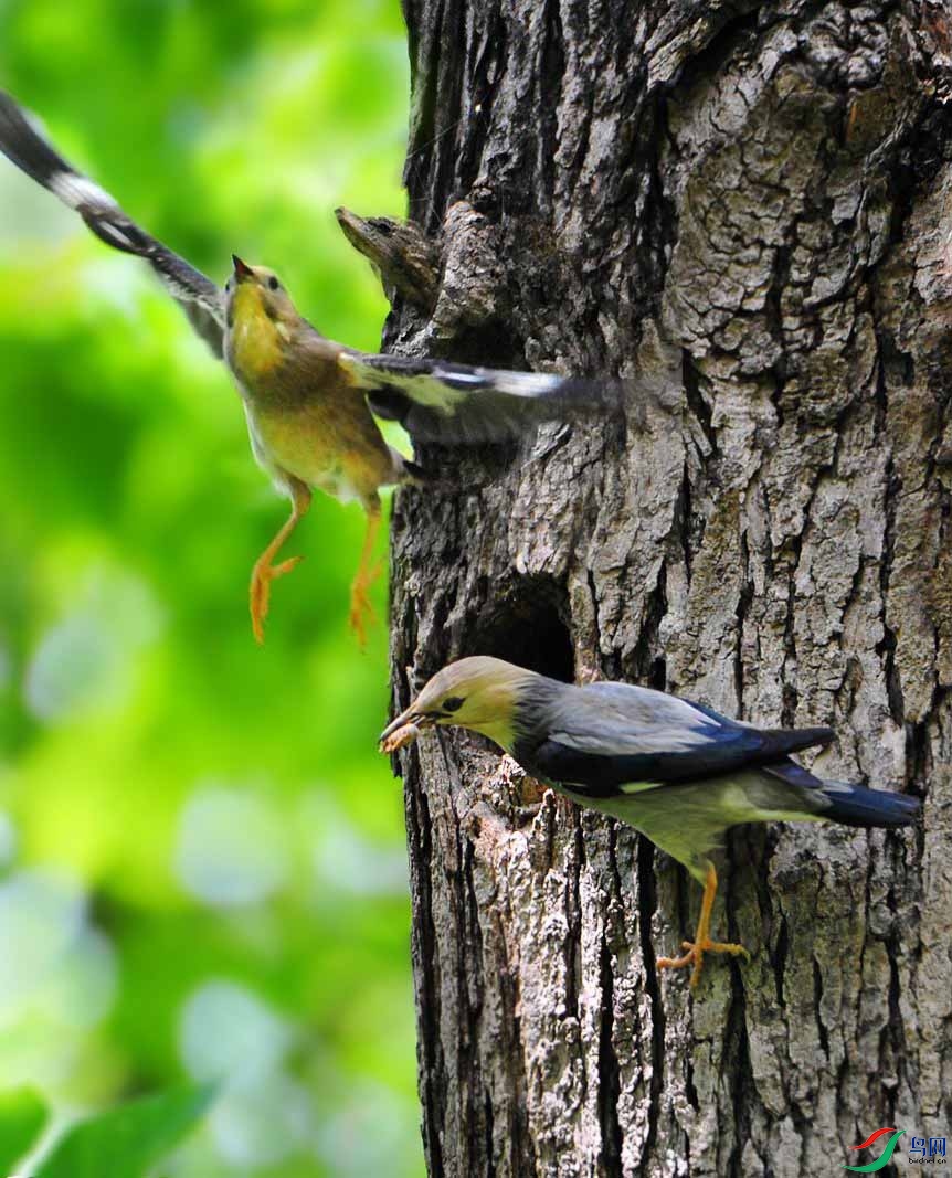 ��Ƭ 4403_����.jpg