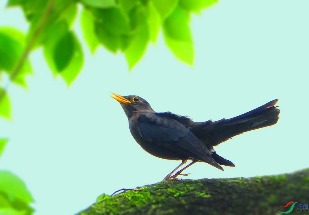 ��Ƭ 4387_����.jpg