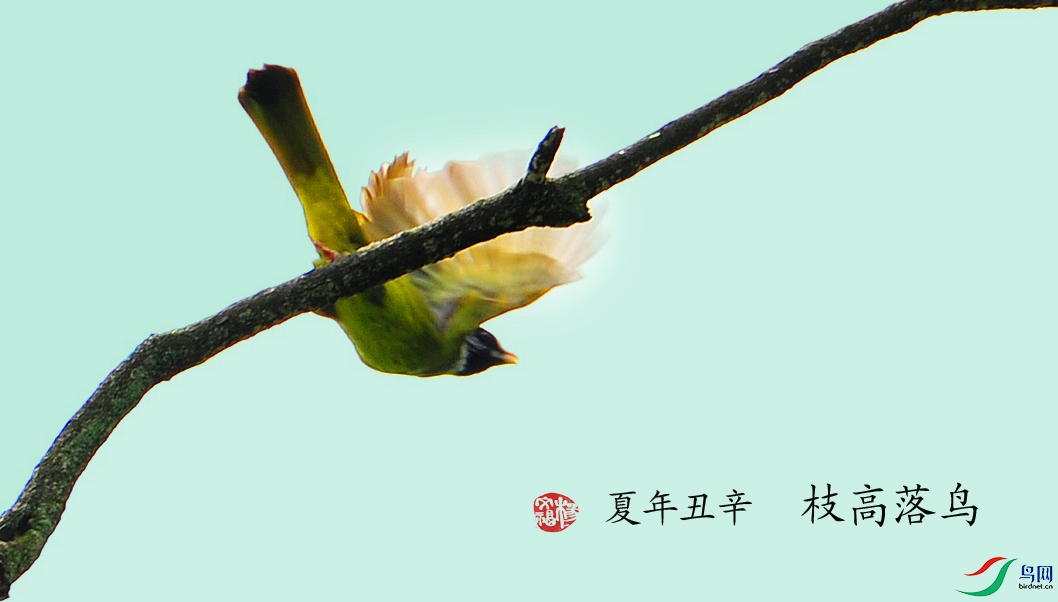 ��Ƭ 4381_����.jpg